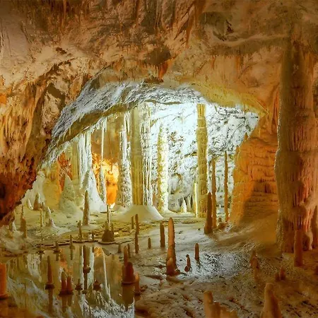 A Casa Dell'artista Viki * Iesi