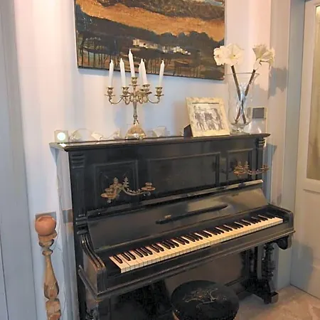 A Casa Dell'artista Viki *